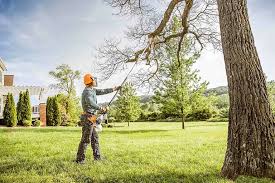 Best Tree Mulching  in Liberty, NC