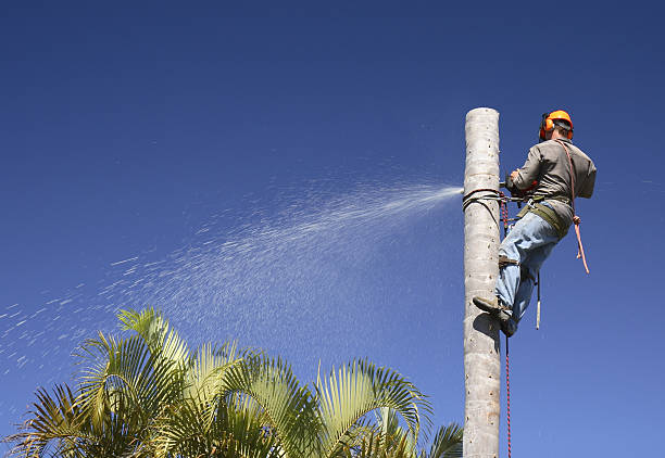 Lawn Irrigation Installation and Maintenance in Liberty, NC